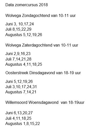 Data Zomercursus